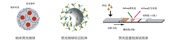 黃曲霉毒素M1熒光定量快速檢測系統(tǒng) 黃曲霉毒素M1熒光定量快速檢測系統(tǒng)