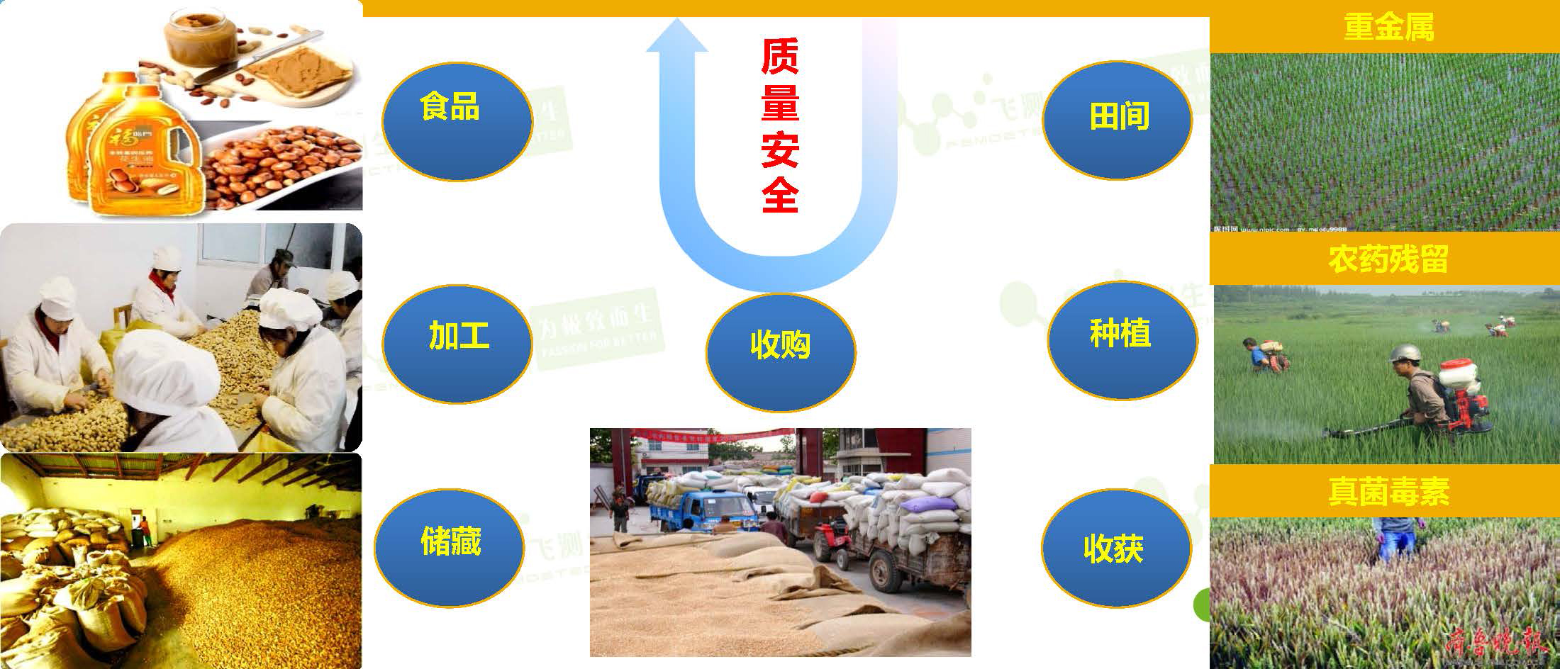 威脅著我國糧油質(zhì)量安全的隱患  威脅著我國糧油質(zhì)量安全的隱患