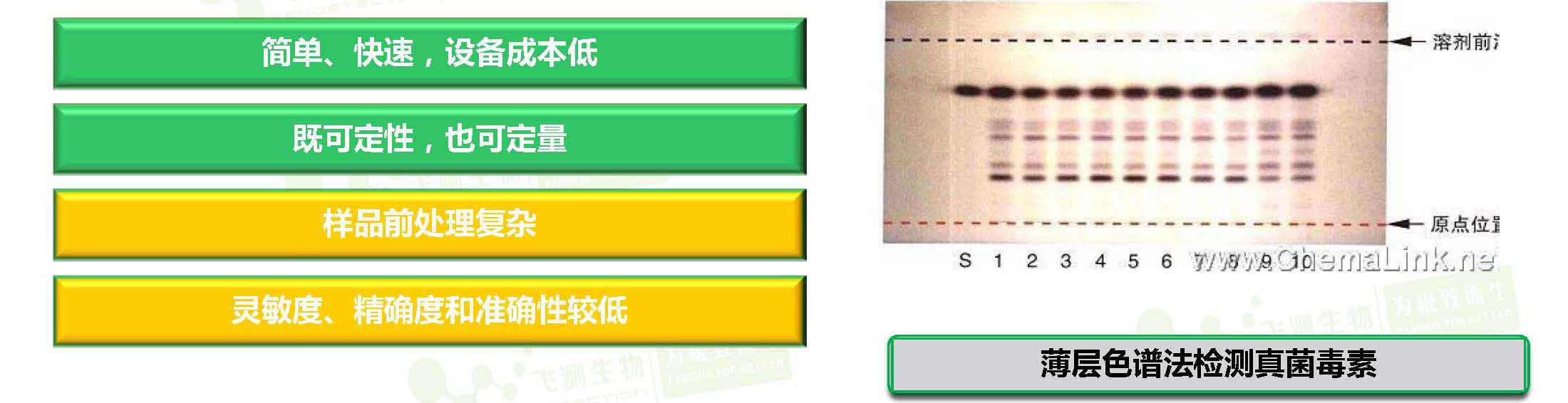 薄層色譜法 薄層色譜法