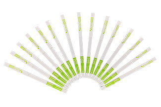 轉(zhuǎn)基因快速定性檢測試紙條 轉(zhuǎn)基因快速定性檢測試紙條