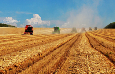 糧食重金屬檢測儀 糧食重金屬檢測儀