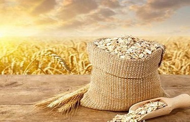 糧食真菌毒素檢測 糧食真菌毒素檢測