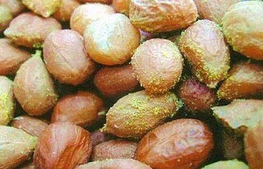 黃曲霉毒素 黃曲霉毒素