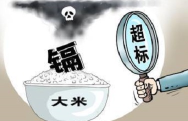 糧食重金屬 糧食重金屬